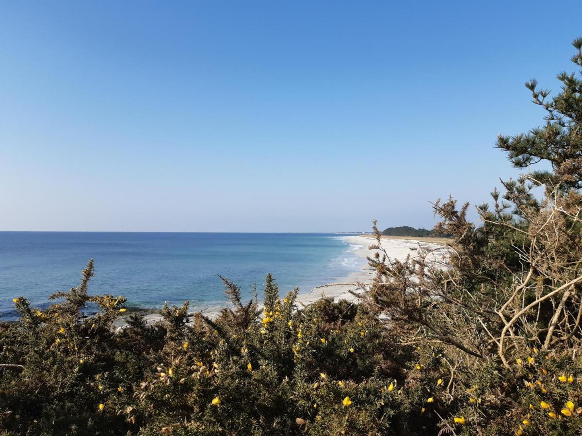 Agapè, élégant T2, 4 étoiles, plage et GR34 3km, centre ville 750m Fouesnant Exterior foto